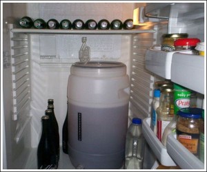 холодильник холостяка