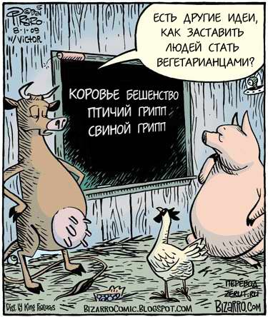 свиной грипп карикатура