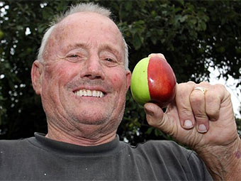Это яблоко прославило британского садовода на весь мир